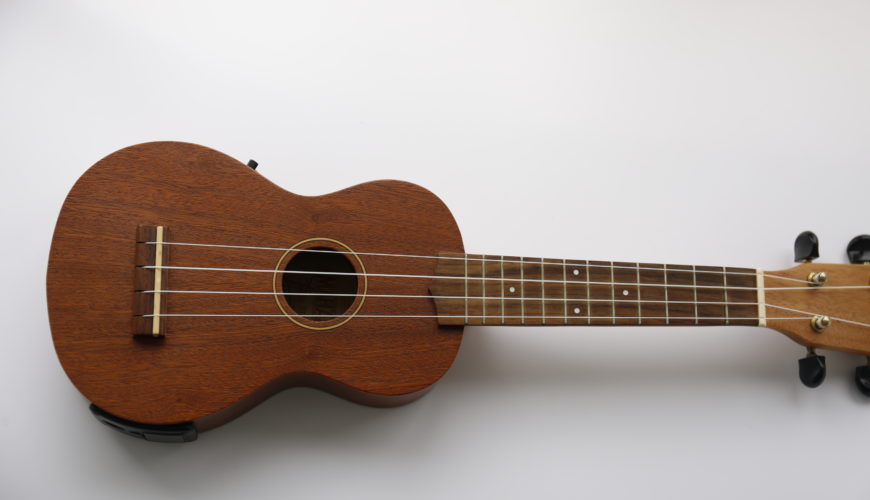 Ukulele Course